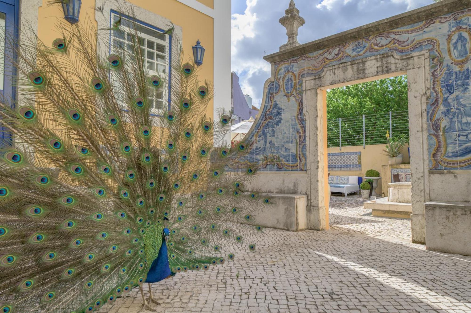 Solar Do Castelo - Lisbon Heritage Collection - Alfama מראה חיצוני תמונה