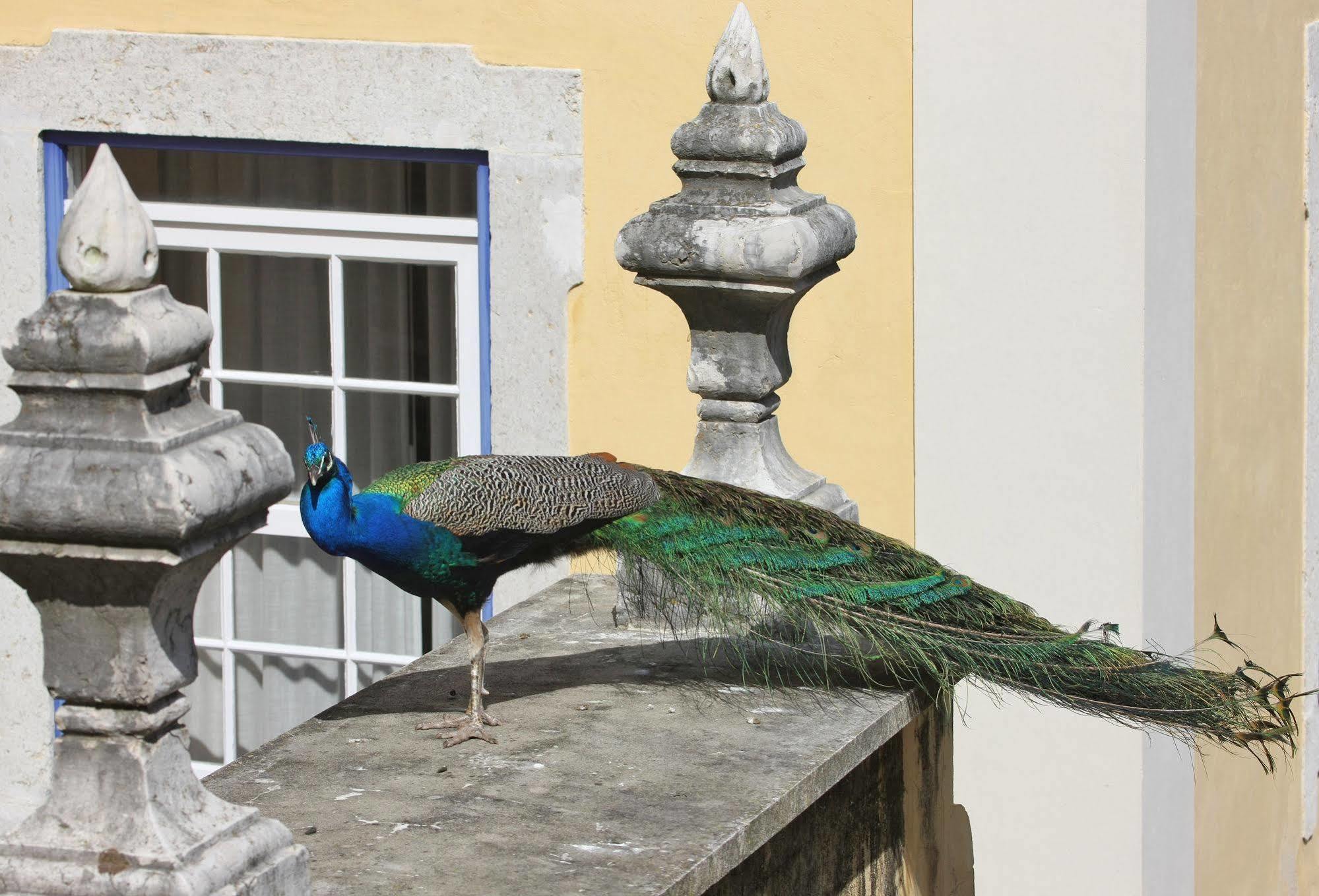 Solar Do Castelo - Lisbon Heritage Collection - Alfama מראה חיצוני תמונה